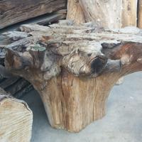 bella "ciocca", radice , x tavolino basso