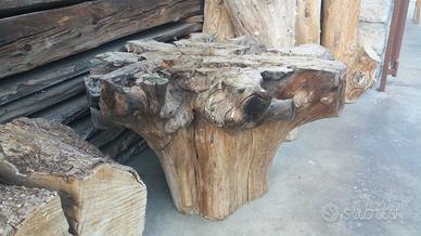 bella "ciocca", radice , x tavolino basso