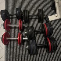 Manubri con pesi ghisa