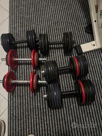 Manubri con pesi ghisa