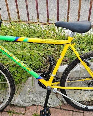 mountain bike