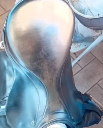sella dressage 17.5 stuben