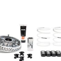 Malossi variatore Beverly 350