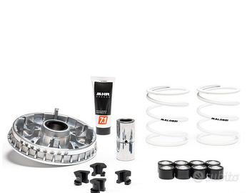 Malossi variatore Beverly 350