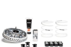 Malossi variatore Beverly 350