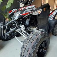 quad AEON COBRA 400 efi euro5 ..leggi bene