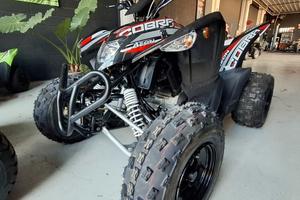 quad AEON COBRA 400 efi euro5 ..leggi bene