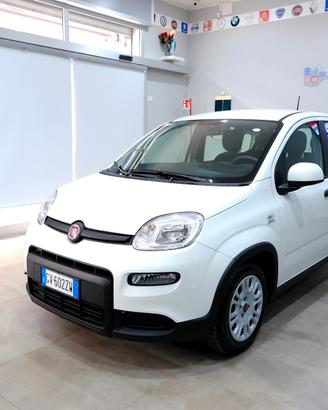 Fiat Panda Cross 1000 HYBRID 70cv CARPLAY