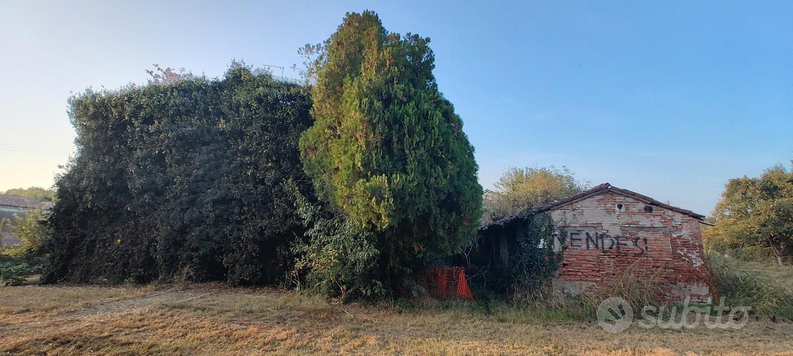 Antica corte di campagna a Pegognaga - Vista 3