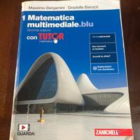 Libro Matematica