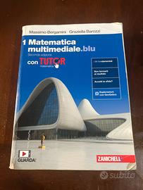 Libro Matematica