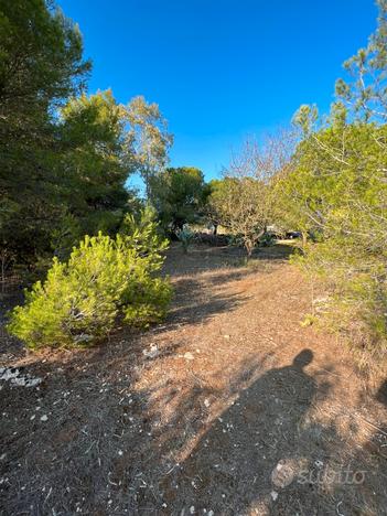 Terreno agricolo di mq1200 a trullo di mare