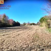 Terreno agricolo - Ronchi dei Legionari