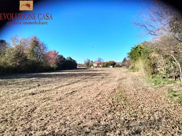 Terreno agricolo - Ronchi dei Legionari
