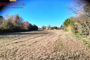 Terreno agricolo - Ronchi dei Legionari