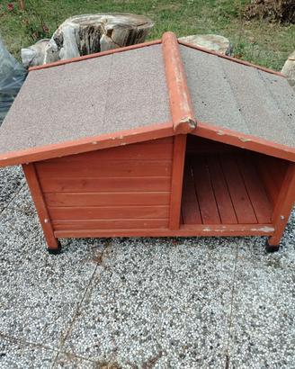 Cuccia cane