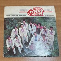 Vinile - Raoul Casadei
