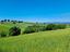 Immagine 12