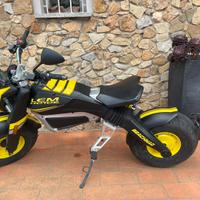 Moto elettrica