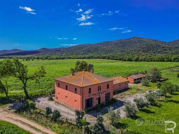 Magliano in Toscana - Rustico in posizione isolata