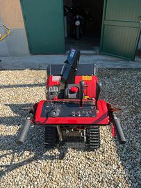 Turbina neve congolata