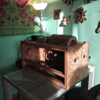 Teca Per Serpente/Animali tropicali 