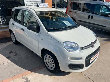 Fiat Panda Pandina 1.0 FireFly 65 CV Hybrid Icon