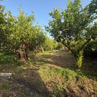 Giardino ad Ali Terme