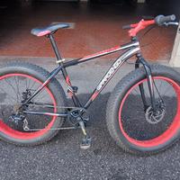 Fat Bike