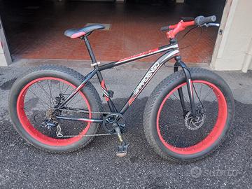 Fat Bike