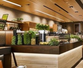 Attività bar + cucina già avviato