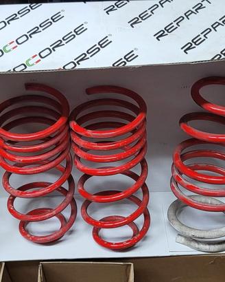 molle ribassate reparto corse Fiat Punto 