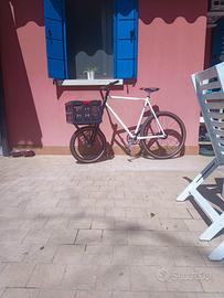 forcella cargo bike