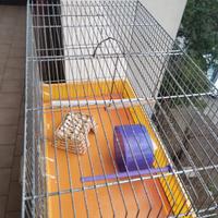 Gabbia per roditori e uccelli