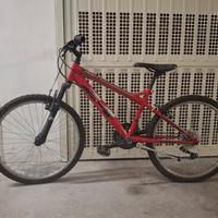 Bicicletta mtb per bambini/ragazzi