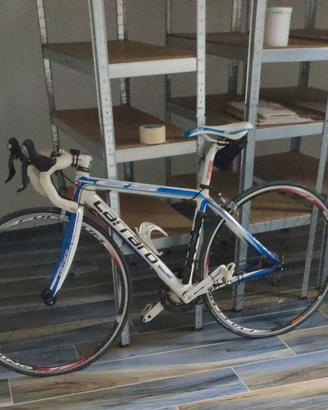 Bici da corsa carraro
