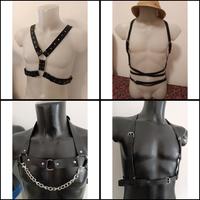 Pettorina harness cinghia imbracatura pettorali pe