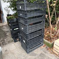 Cassette ceste in plastica