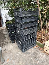 Cassette ceste in plastica