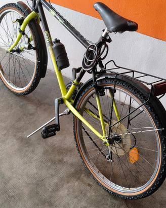 bicicletta da uomo 