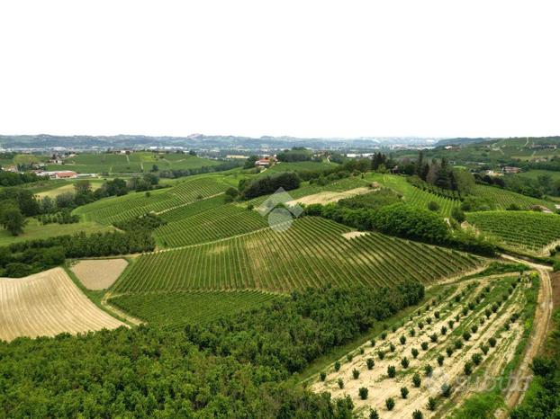 TER. AGRICOLO A CASTAGNOLE DELLE LANZE