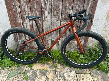 Salsa cycles