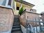 Immagine 14