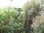 Immagine 22