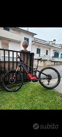 orbea wild fs