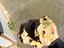 Immagine 2