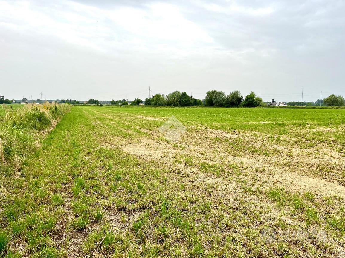 TER. RESIDENZIALE A MARMIROLO - Vista 5