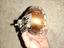 Immagine 4