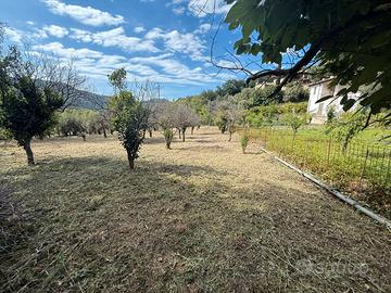 Terreno a Gioiosa Marea (ME), fraz. Maddalena