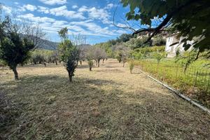 Terreno a Gioiosa Marea (ME), fraz. Maddalena